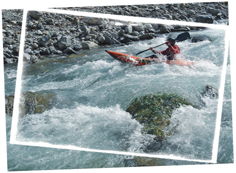 Guppy in White-Water-Action